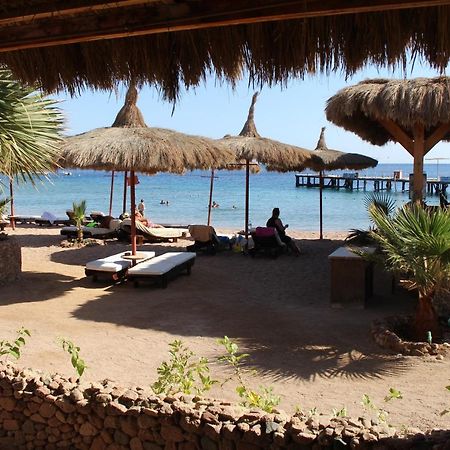 Sunshine Divers Club - Il Porto Sharm el-Sheikh Exterior photo